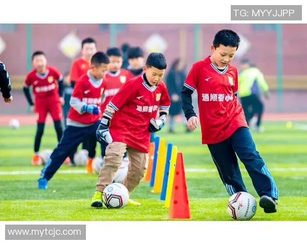 中国足球球星身价分析与影响因素研究 未来发展潜力展望
