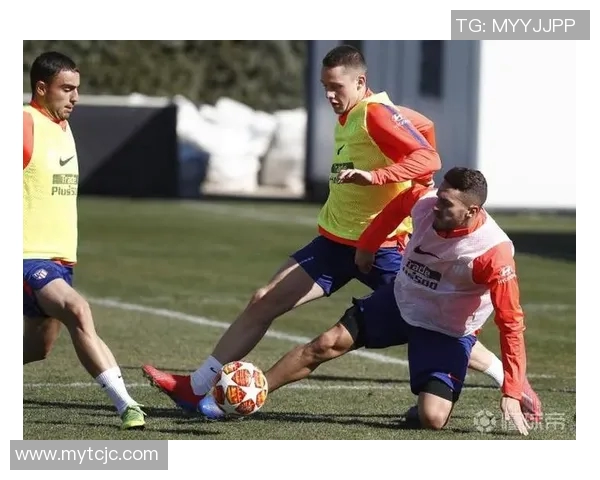 足球球星训练场科学搭配与高效提升竞技水平的方法研究