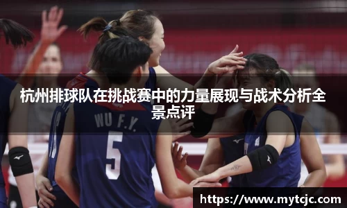 美嘉体育平台