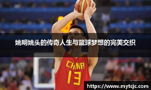 姚明姚头的传奇人生与篮球梦想的完美交织